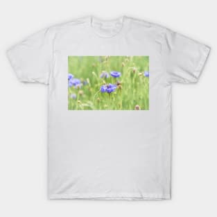 Little Honey Bee and Blue Cornflowers T-Shirt